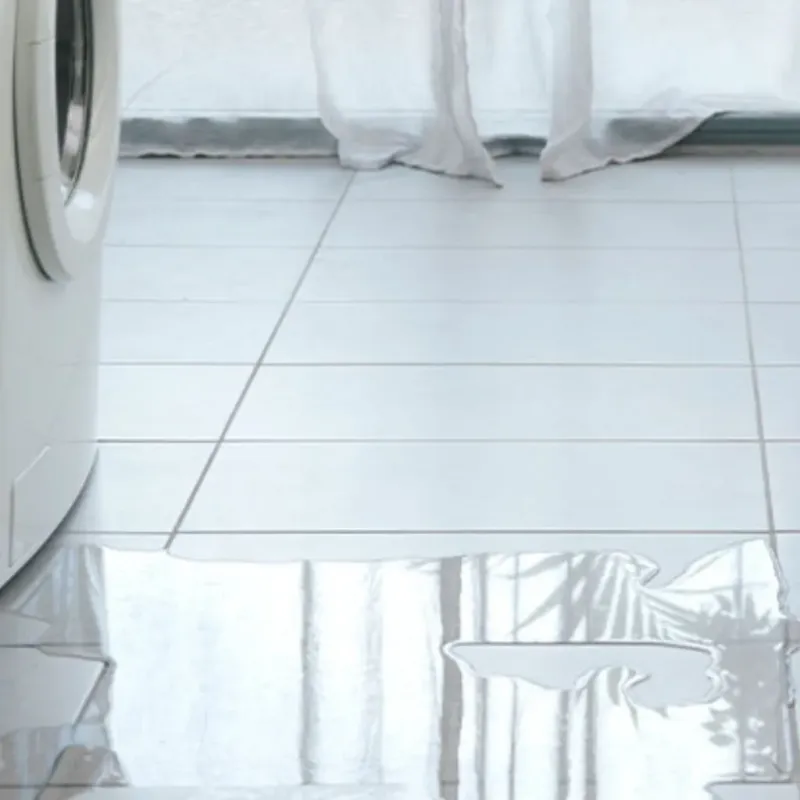 Appliance Leak Cleanup in Marion, NY