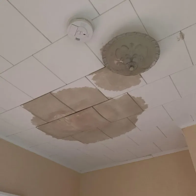 Ceiling Water Damage Repair in Marion, NY
